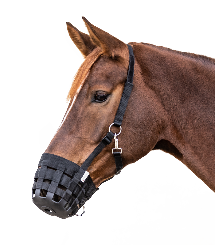 Weide-Maulkorb
